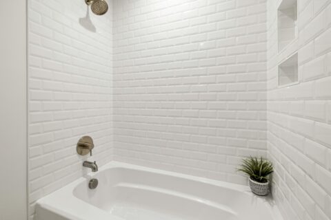 Interior Renovation